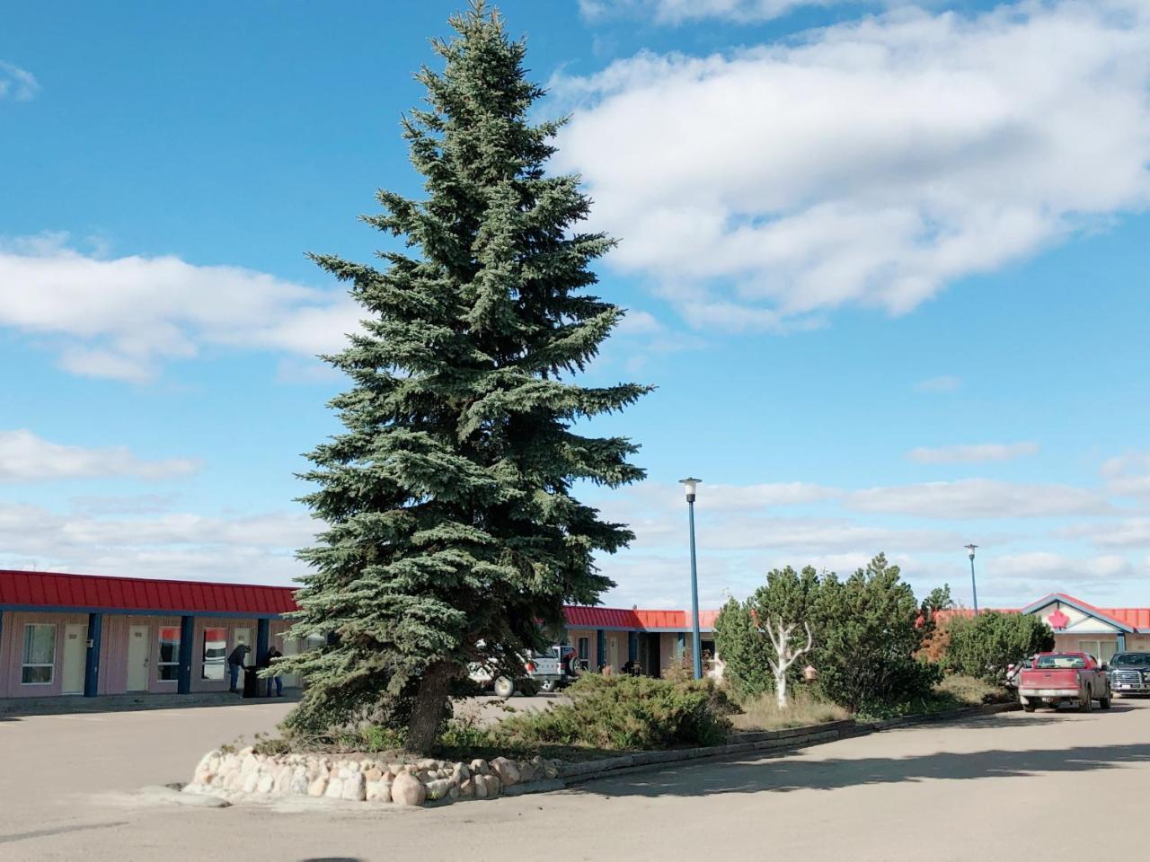 Canadian Motel North Battleford Buitenkant foto